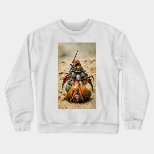 Hermit Crab Stylized 02 Crewneck Sweatshirt by rolphenstien